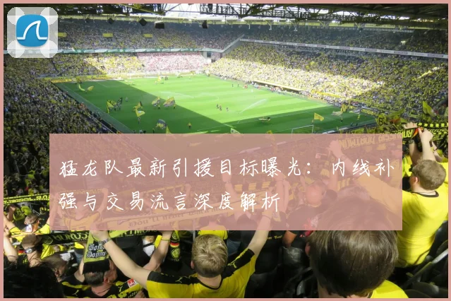 猛龙队最新引援目标曝光：内线补强与交易流言深度解析